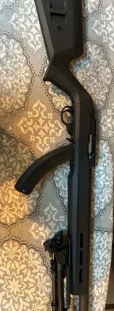 Ruger 10/22 Tactical