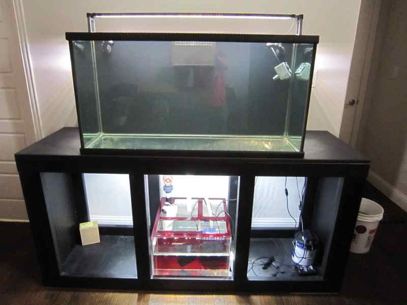 Custom Planet Aquariums 94 -Gallon Fish Tank - $1,