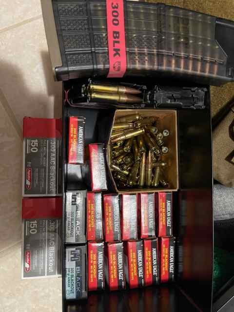 300 blk ammo 3 mags 