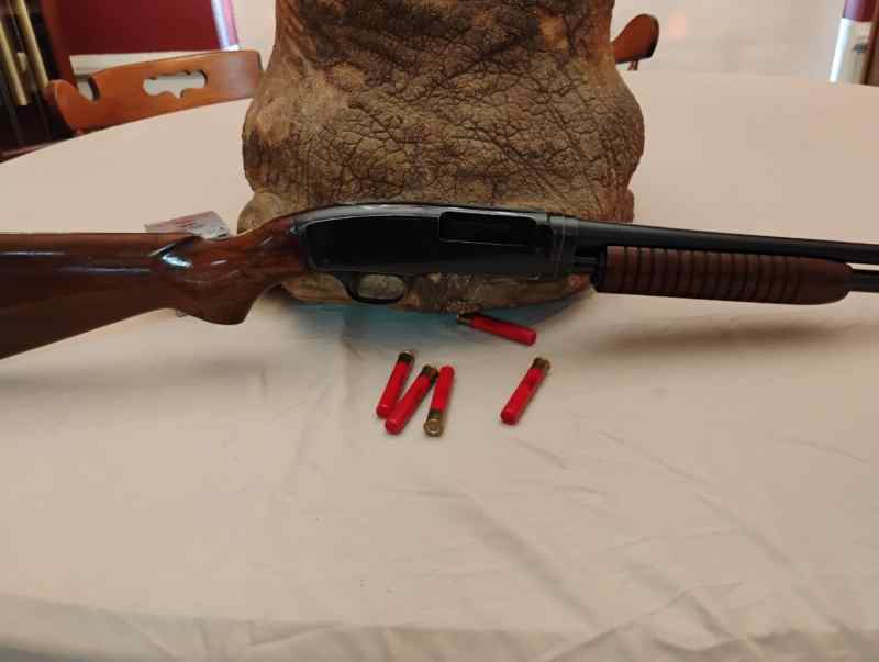 WINCHESTER MODEL 42 PUMP ACTION .410 ( 1958 )