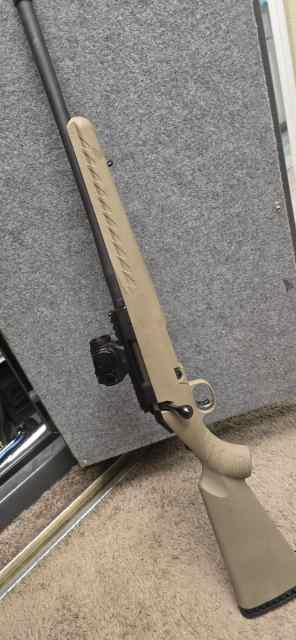 Ruger American ranch 300blk