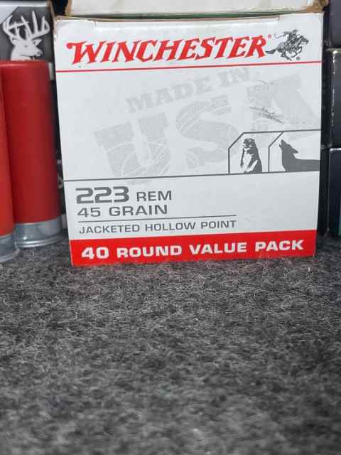 .223 45grain jhp