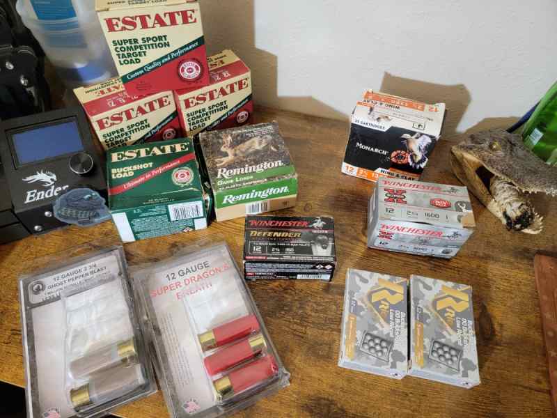12 Guage ammo