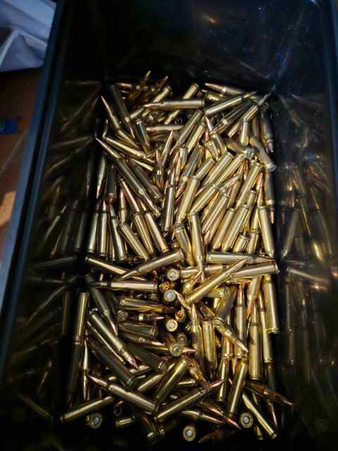 1000 Rounds of 556 Ammo