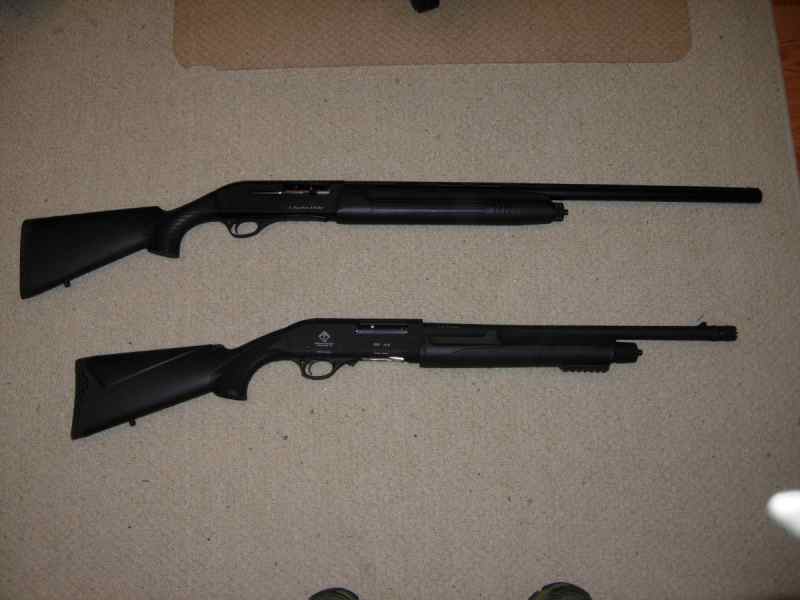 12 ga shotguns