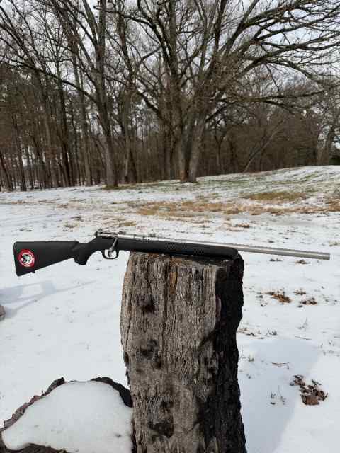 Savage model 93R17 .17 HMR