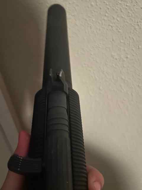 IMG_7706.jpeg