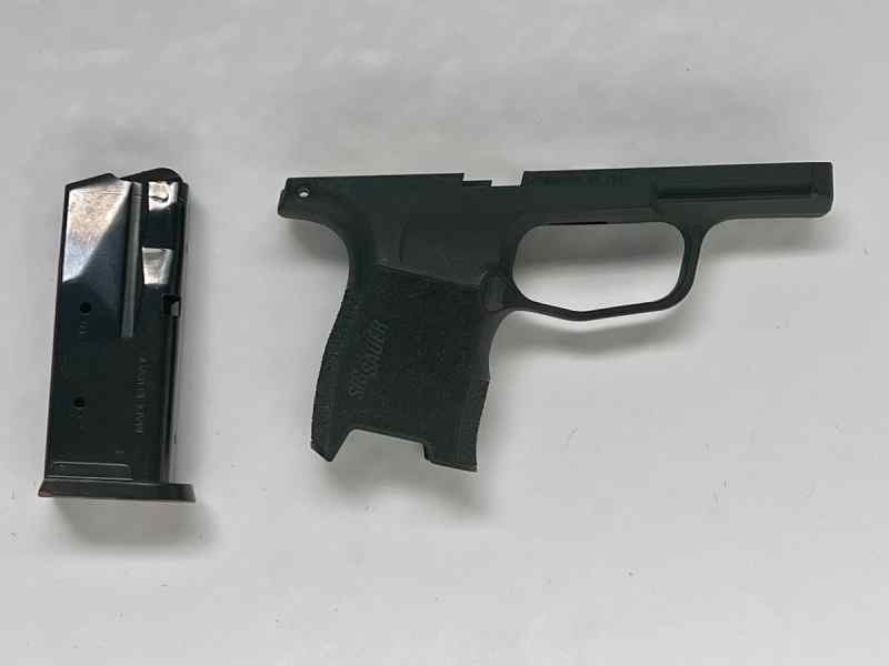 P365 Grip module and 10 round flush magazine