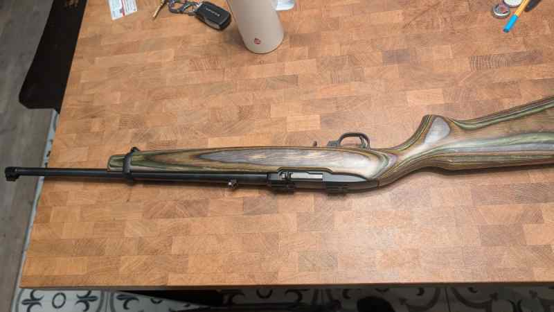 Ruger 10/22 special edition 