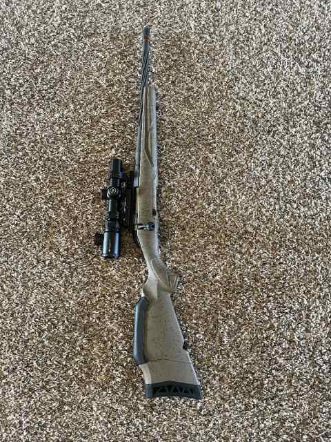 Ruger ranch rifle 300 BLK
