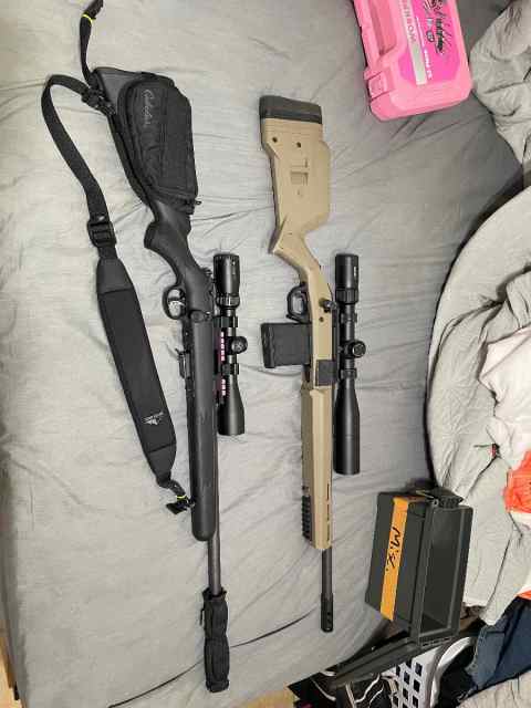 Ruger 308 