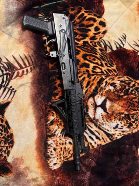 Pioneer arms hellpup