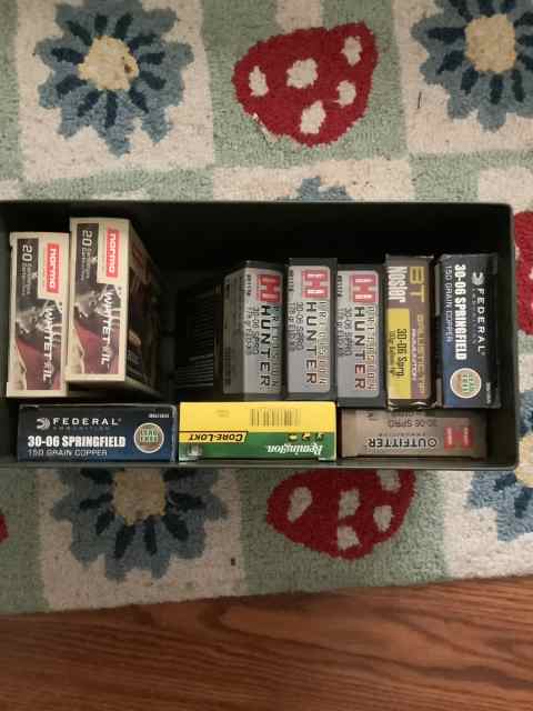 Assorted 30-06