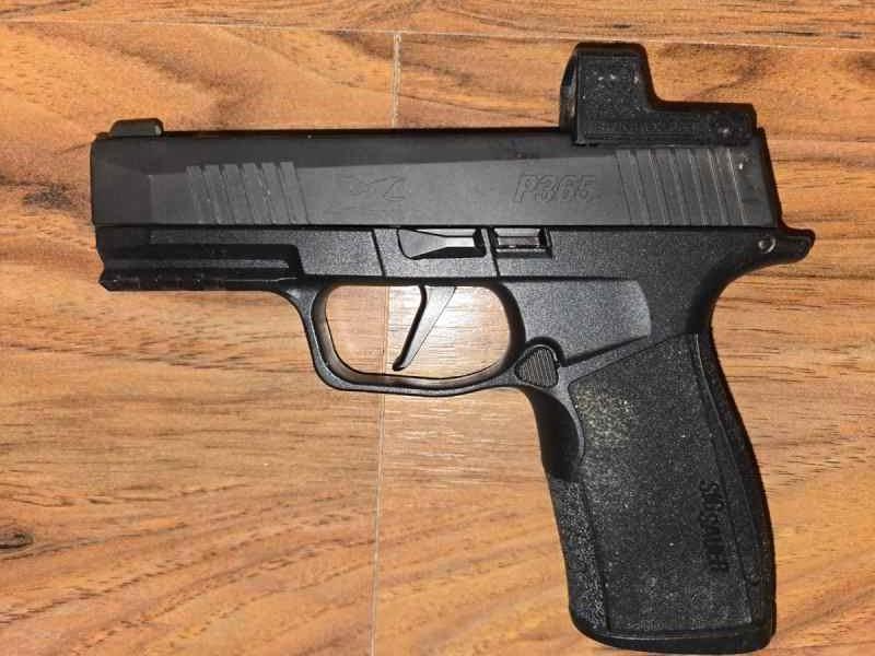 Sig P365XL with Macro Frame 2 17rd mags romeo zero