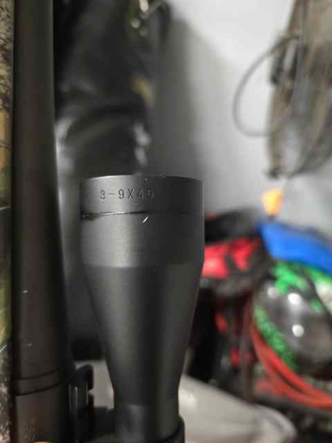 20250515_202559.jpg