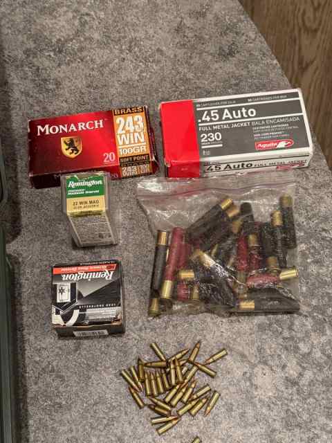 Random Ammo - 45 Auto, 410, 243, 22 Win Mag, .17 