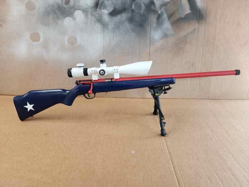 Savage 93r17 