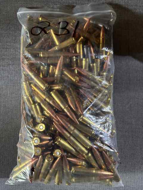 231 misc. rounds of 300blk range ammo