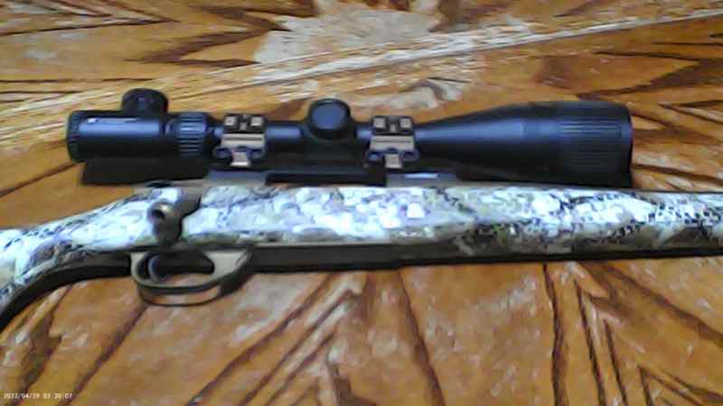 Weatherby Vangaurd .308