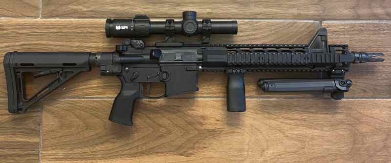 Custom AR15