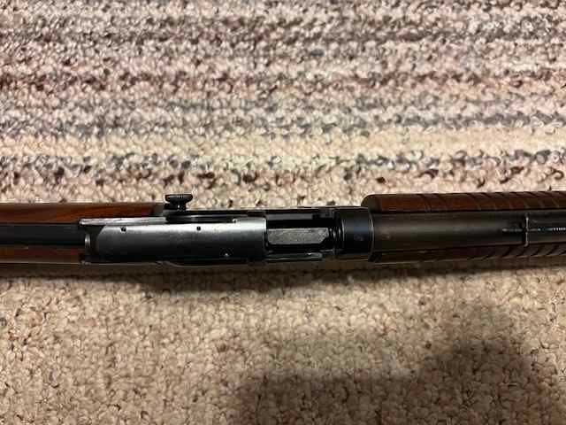 image4.jpeg