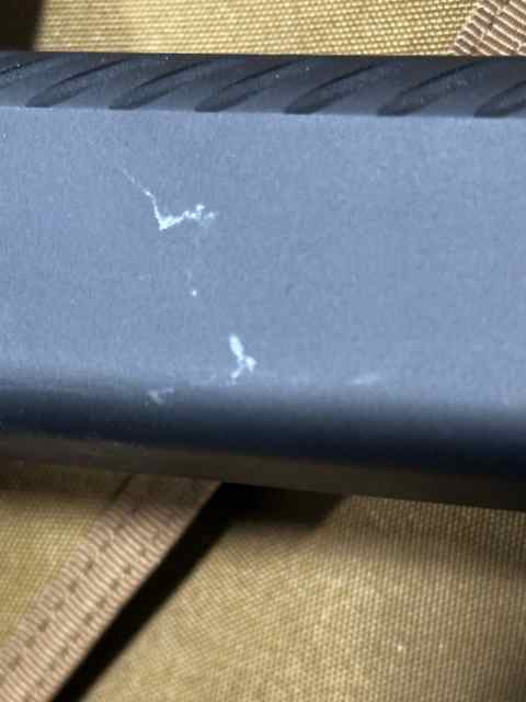IMG_2892.jpeg