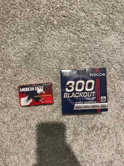 .300 Blackout ammo 