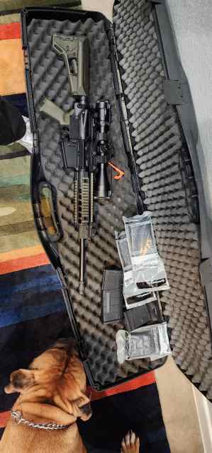Sig Patrol 716 w/New Viper PST 4-16x50 7.62x54 