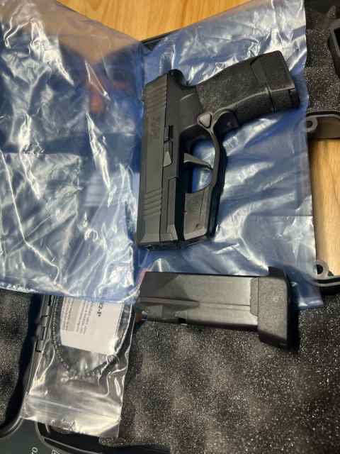 Sig Sauer P365 XRay with Green LIMA Laser