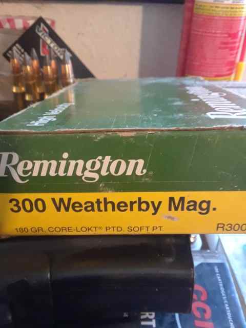 Ammo: 300 Weatherby mag 