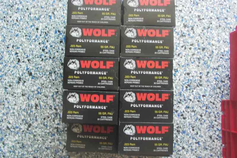 .223 Rem, 12 Ga #2 steel, 00 Buckshot, slugs