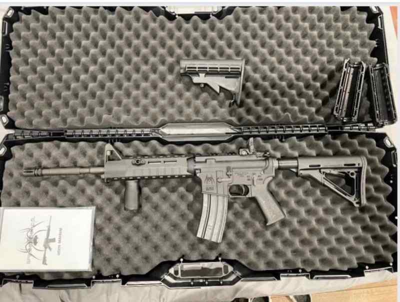 Spike’s Tactical ST‑15 – Unfired, With Case &amp; Mags