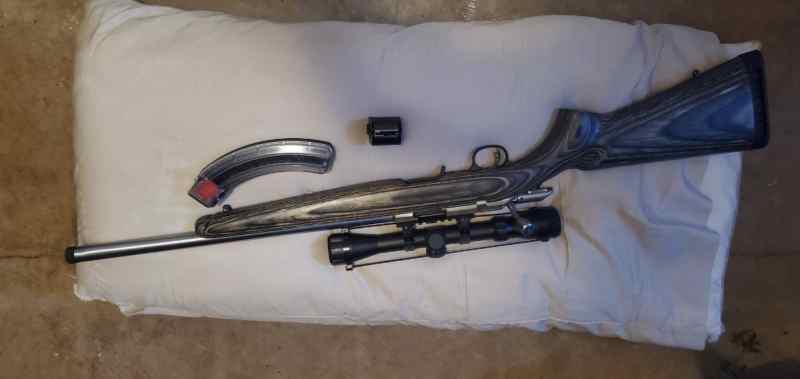 Ruger 10/22