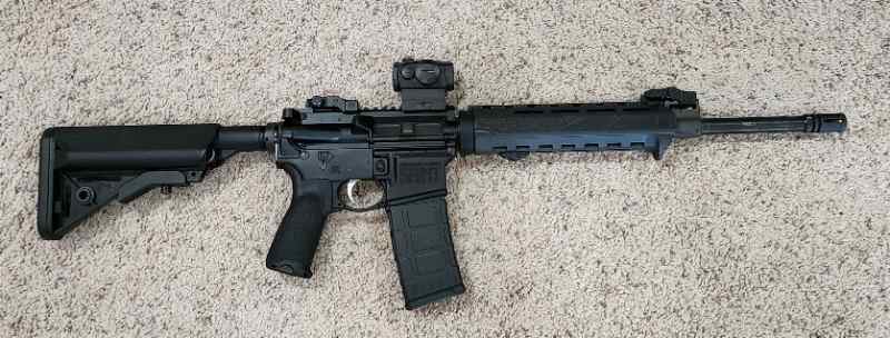 Springfield Saint_AR15_3_2024.jpg